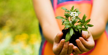 jardineria ninos