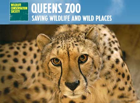 Guía de verano en Queens 2013 | Queens Latino