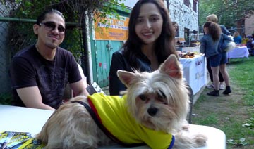 Perro con la camiseta de Ecuador.