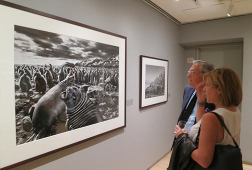 Escena de la exhibición Génesis en el ICP de Manhattan. Foto Oscar Frasser.
