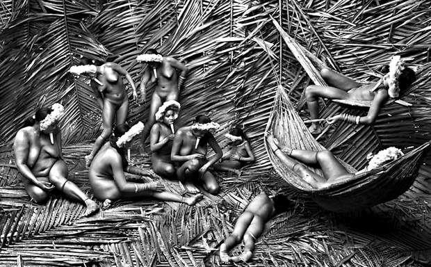 Una de las fotos del libro Génesis del brasilero Sebastiao Salgado.