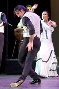 Flamenco Fire.