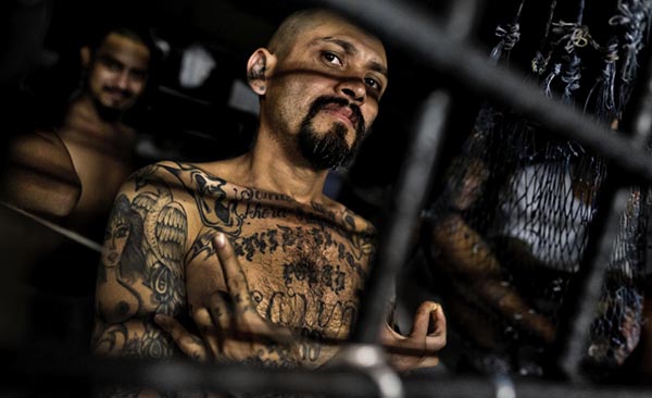 13 pandilleros de Mara Salvatrucha acusados en Nueva York