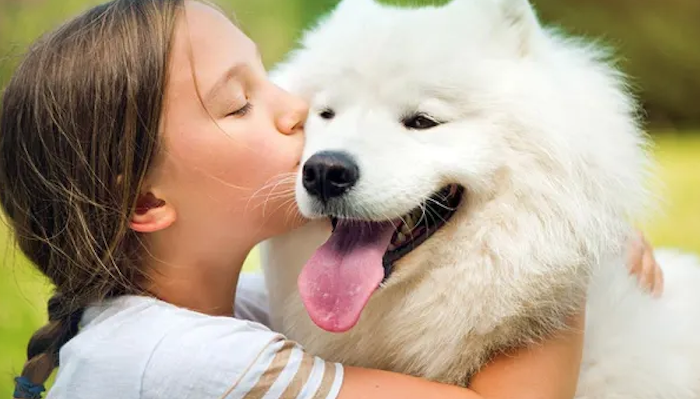 Terapia con mascotas en Hospital Elmhurst este martes 6 de julio