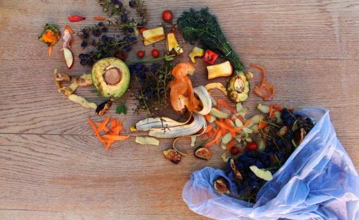 No bote alimentos