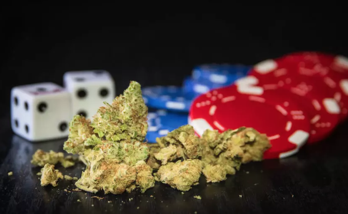 A Gambler’s Perspective:  The Warning Signs