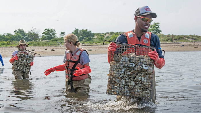 Con Edison y su plan de biodiversidad