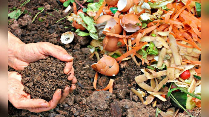 Compostaje, medio ambiente y vida