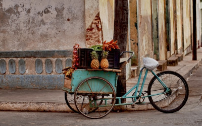 Cubanos en el exterior pueden invertir en Cuba