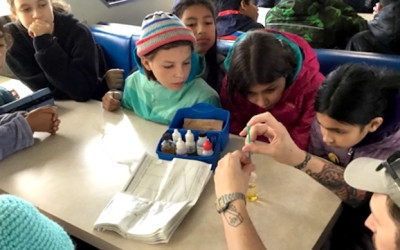 Educación climática es requisito en escuelas de Nueva York